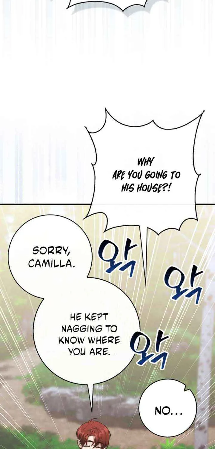 A Fortune-Telling Princess Chapter 128 page 27 - 
