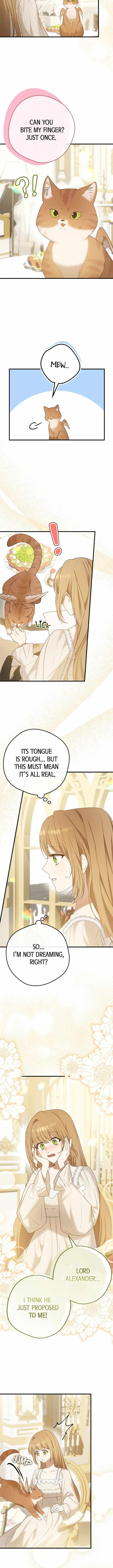 A Golden Fate That Transcends Time Chapter 13 page 8 - 