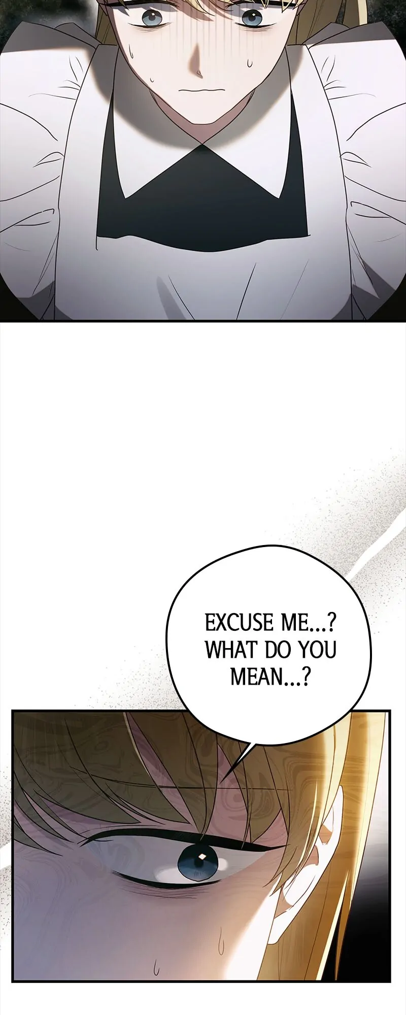A Golden Fate That Transcends Time Chapter 30 page 16 - 