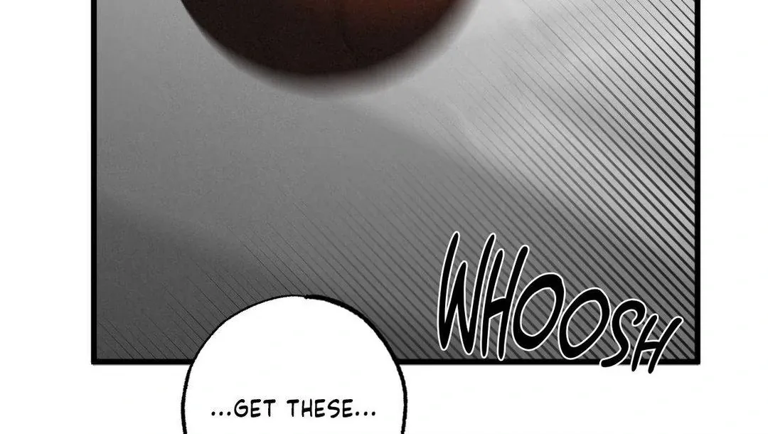 A Golden Pair Chapter 2 page 14 - 