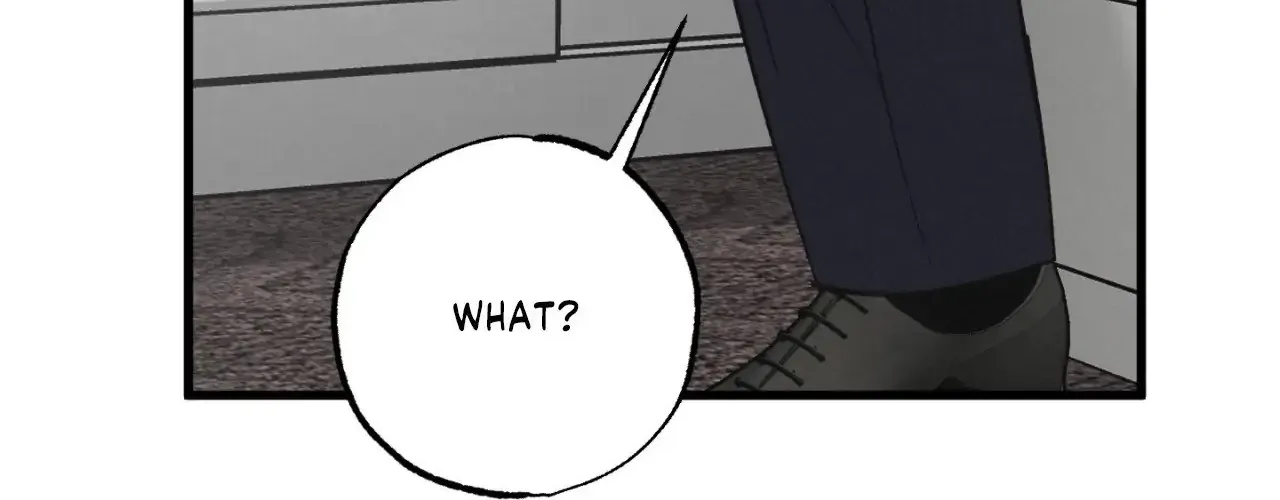 A Golden Pair Chapter 47 page 11 - 