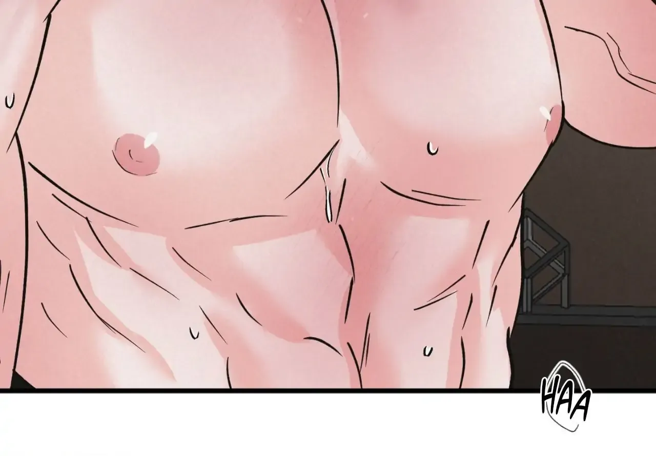 A Golden Pair Chapter 48 page 63 - 
