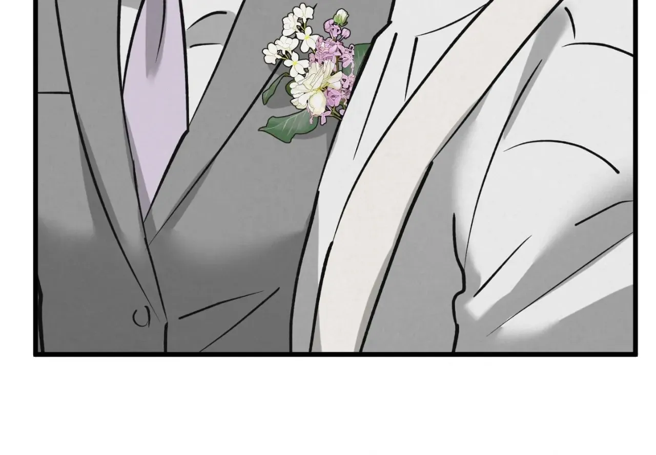 A Golden Pair Chapter 49 page 81 - 