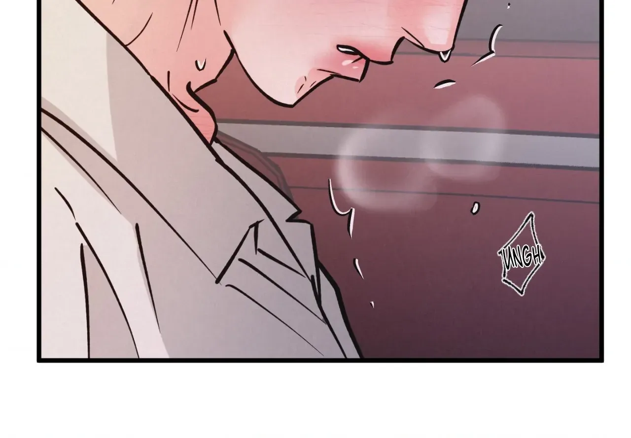 A Golden Pair Chapter 56 page 81 - 