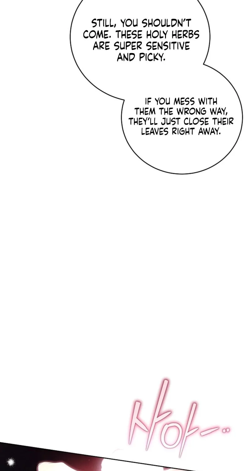 A Guide to the Right Life for Rankers Chapter 48 page 95 - 