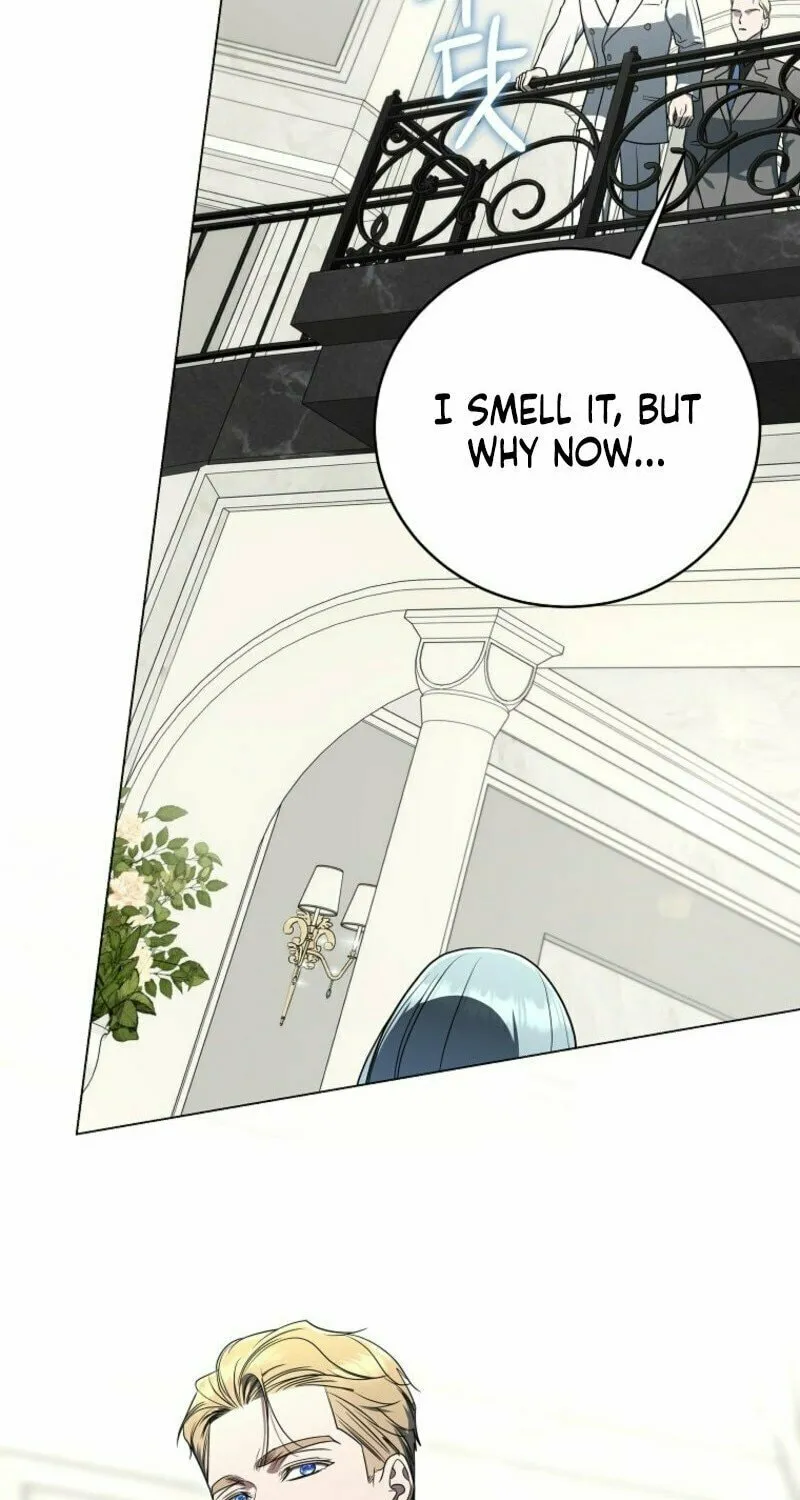A Guide to the Right Life for Rankers Chapter 54 page 45 - 