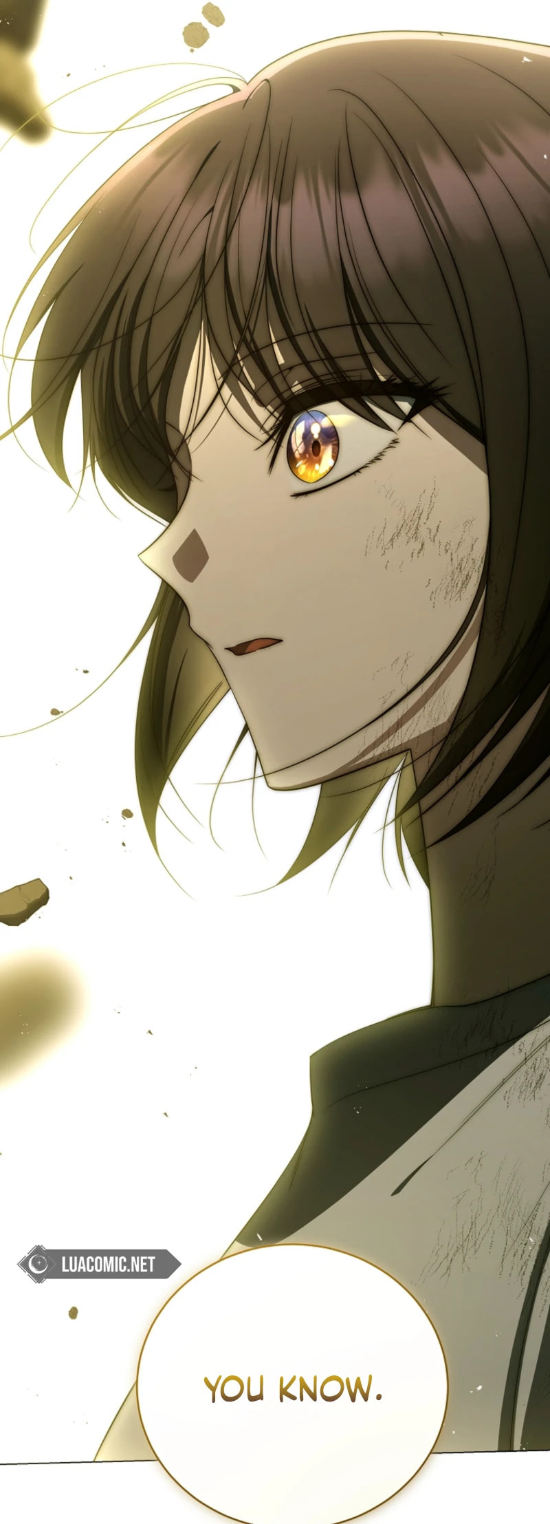 A Guide to the Right Life for Rankers Chapter 76 page 101 - 
