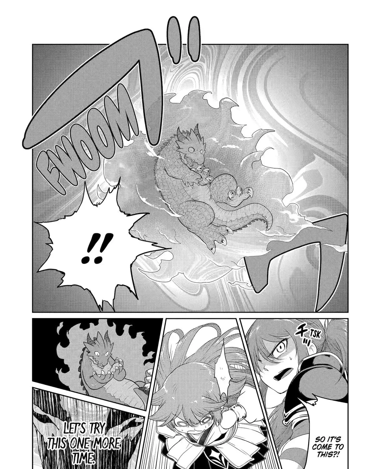 A Herbivorous Dragon of 5,000 Years Gets Unfairly Villainized Chapter 11 page 47 - 