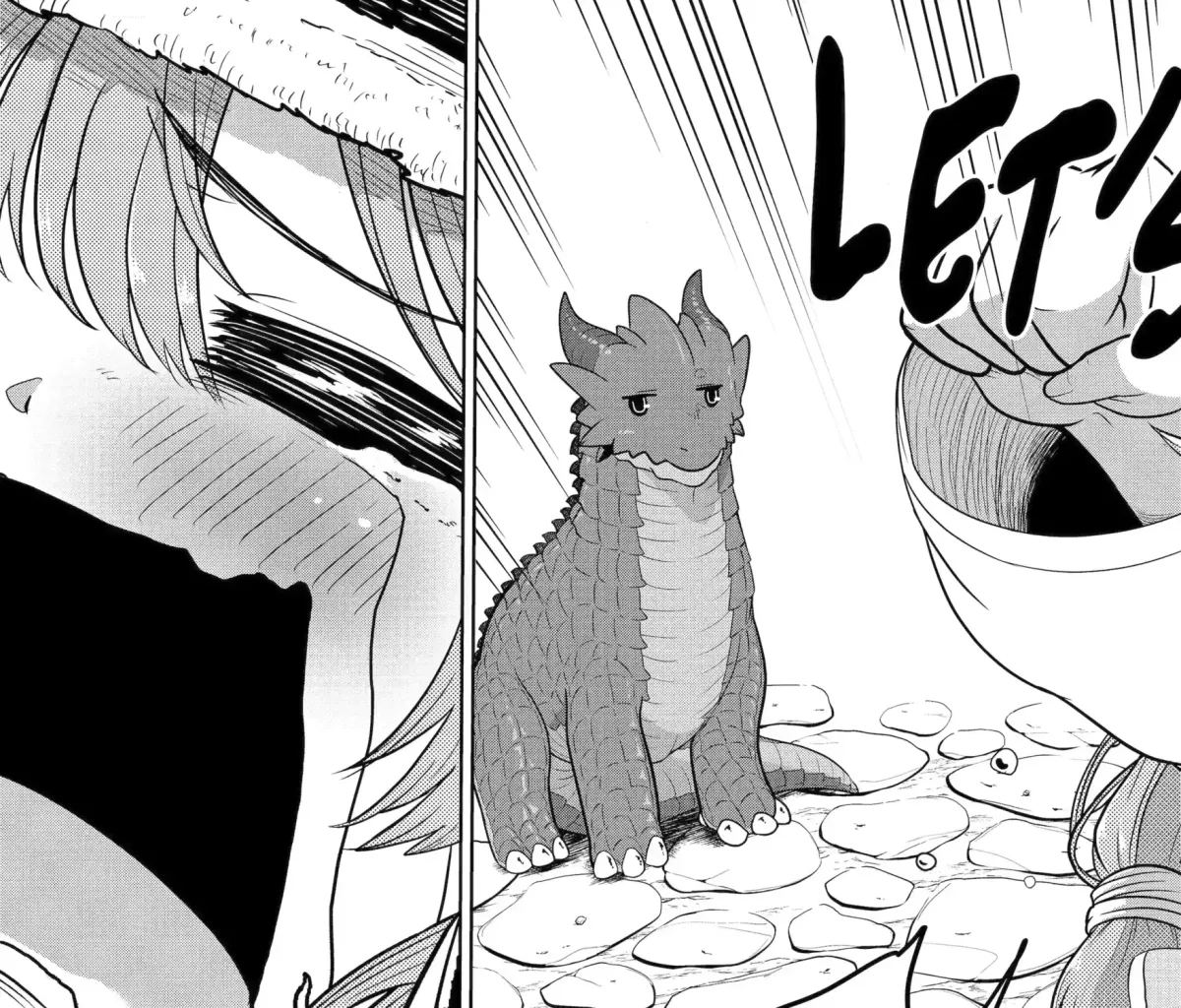 A Herbivorous Dragon of 5,000 Years Gets Unfairly Villainized Chapter 7.4 page 17 - 