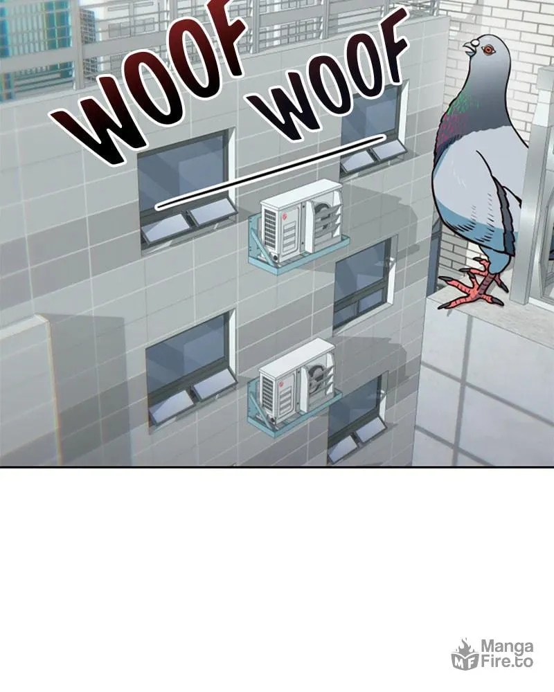 A High School Girl Is a God, But I