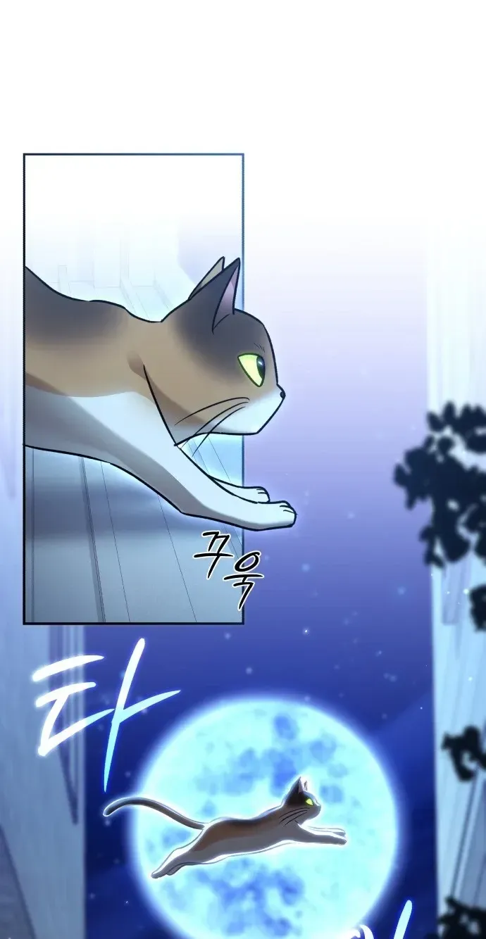 A Little Coincidence Is All We Need! Chapter 1 page 78 - 