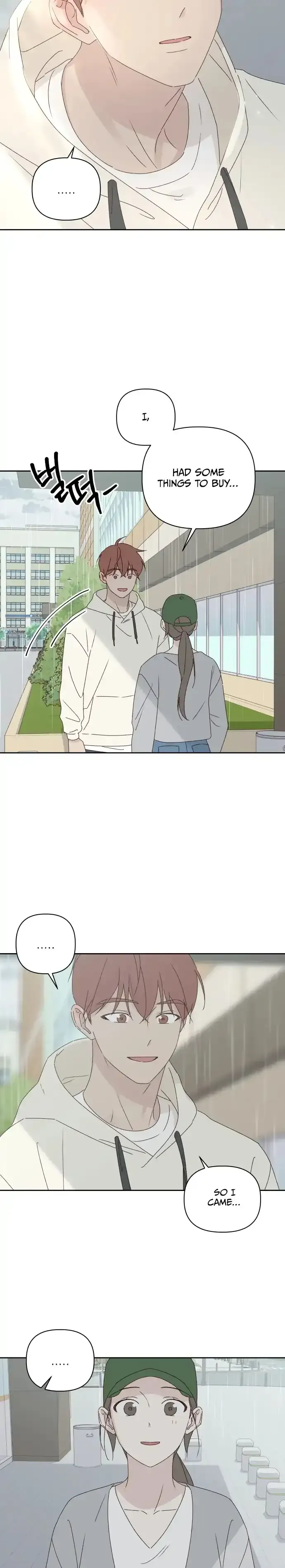 A Love Affair That Crosses the Boundaries of Love Chapter 10 page 21 - 