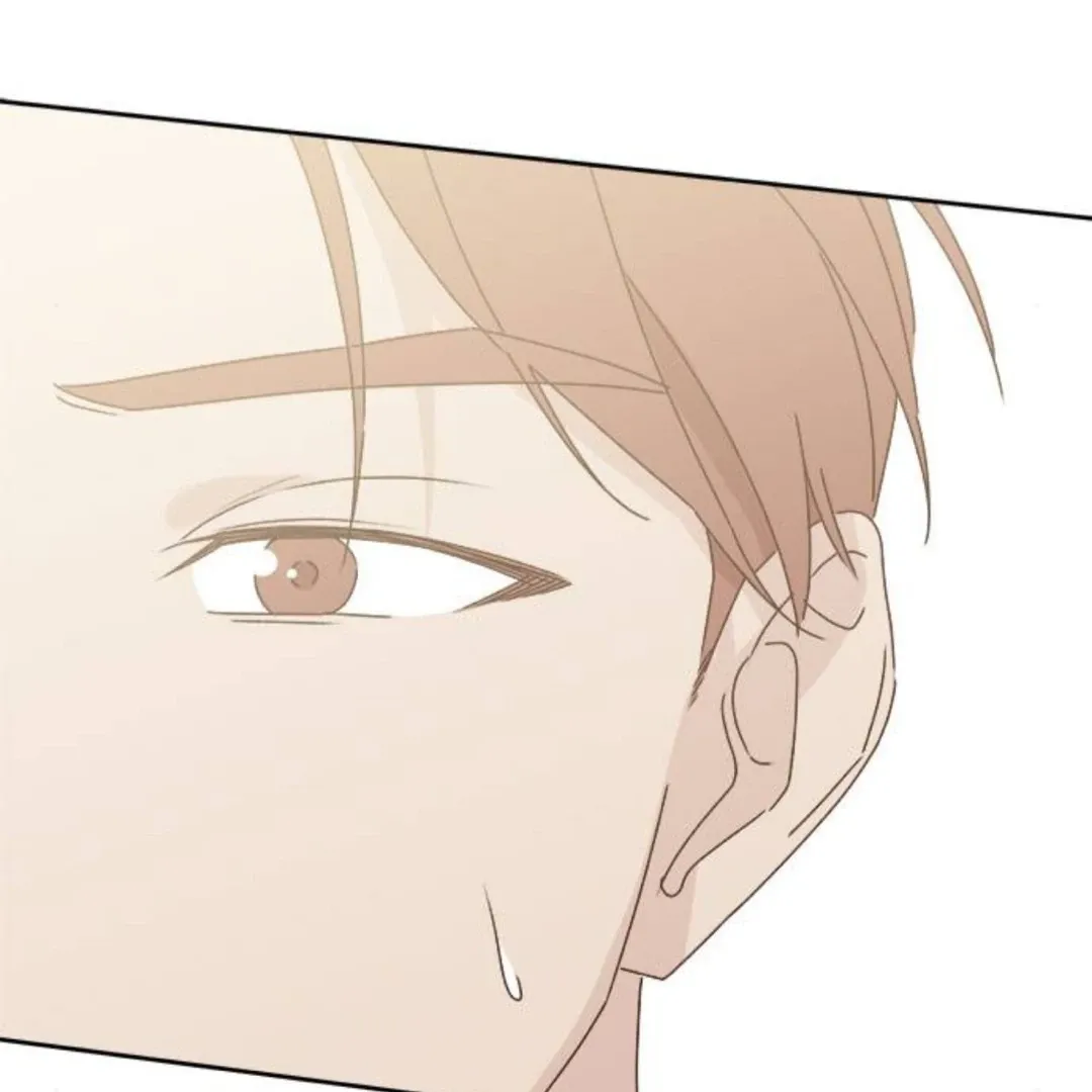 A Love Affair That Crosses the Boundaries of Love Chapter 11 page 161 - 