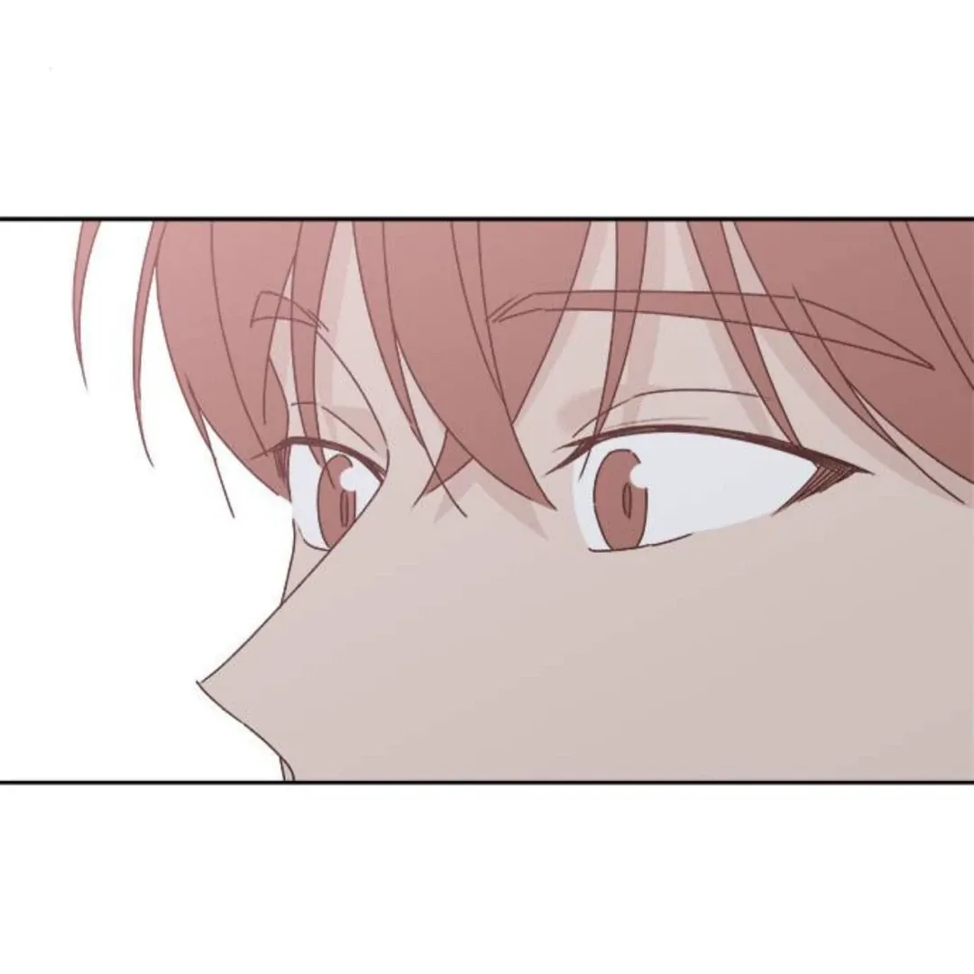 A Love Affair That Crosses the Boundaries of Love Chapter 12 page 41 - 