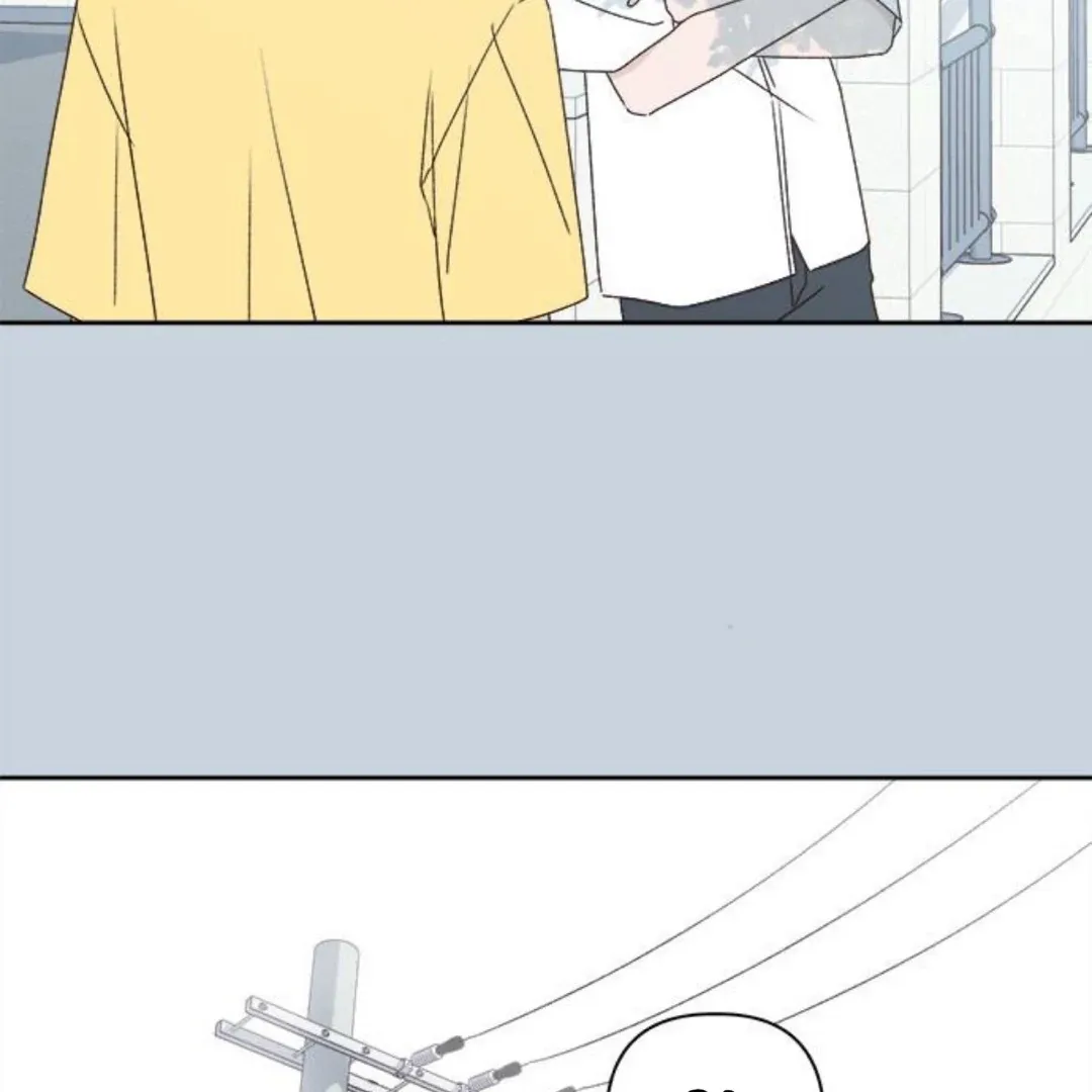 A Love Affair That Crosses the Boundaries of Love Chapter 12 page 80 - 