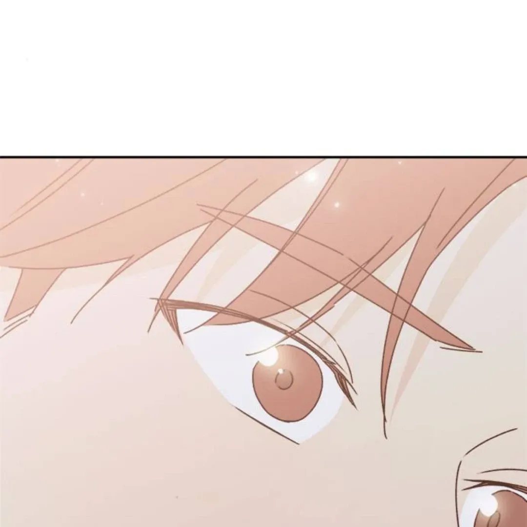 A Love Affair That Crosses the Boundaries of Love Chapter 15 page 207 - 