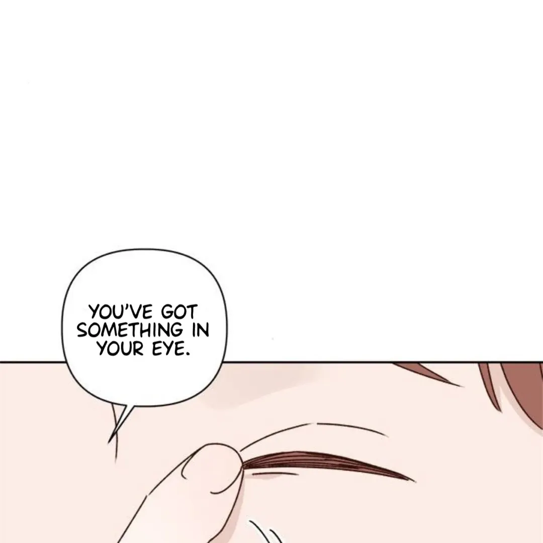 A Love Affair That Crosses the Boundaries of Love Chapter 15 page 32 - 