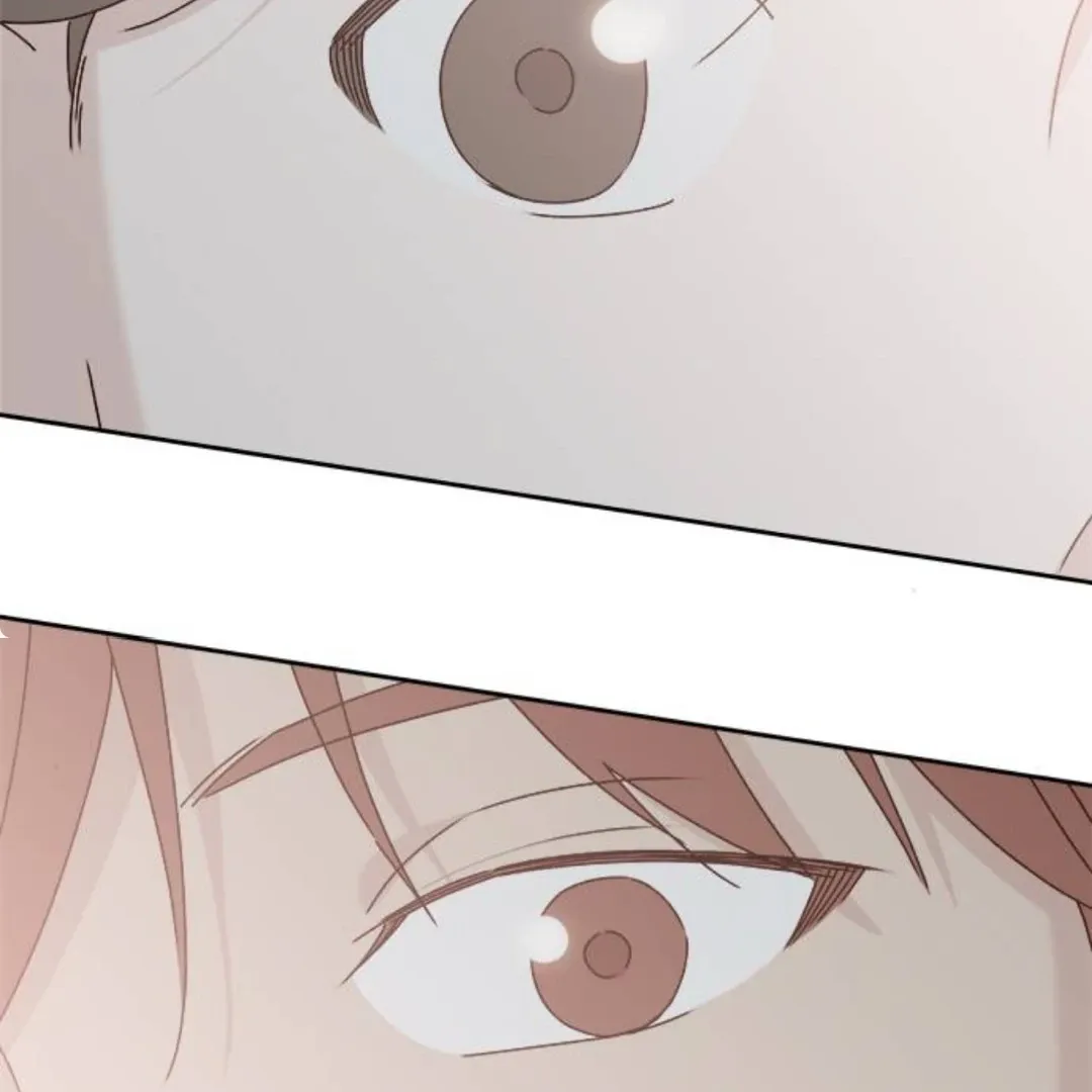 A Love Affair That Crosses the Boundaries of Love Chapter 16 page 195 - 