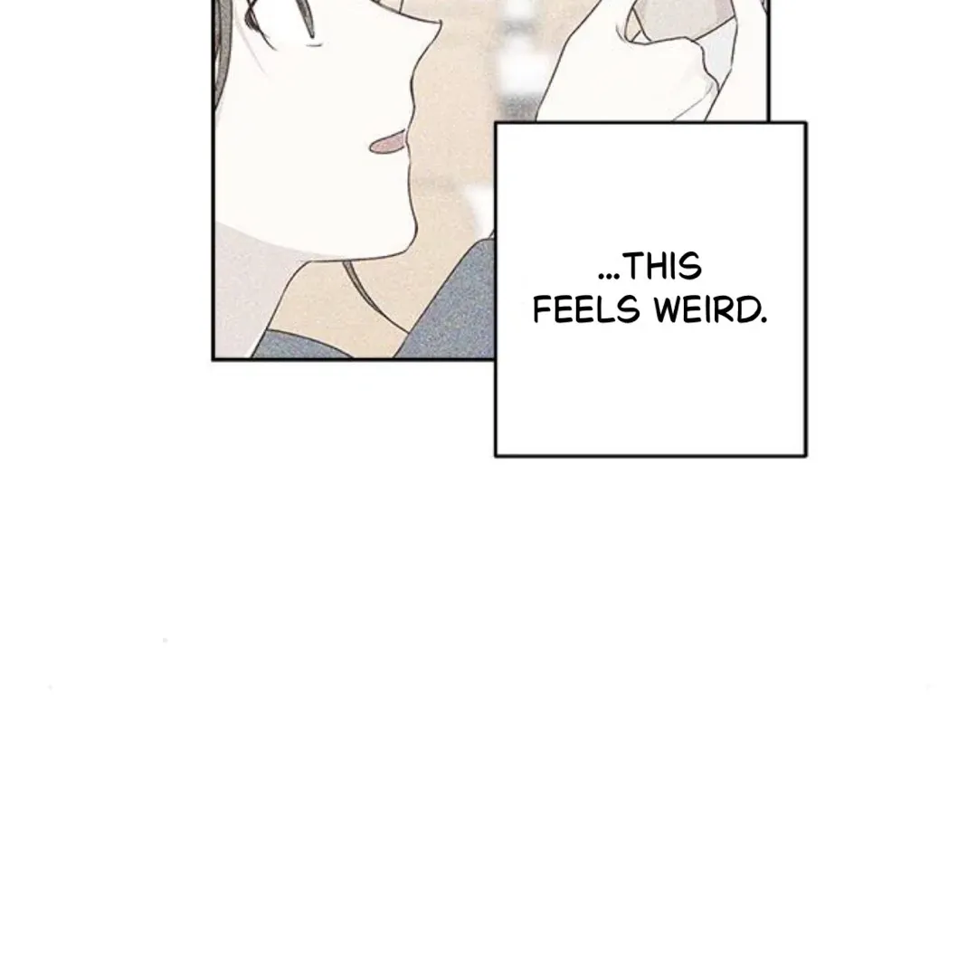 A Love Affair That Crosses the Boundaries of Love Chapter 16 page 205 - 