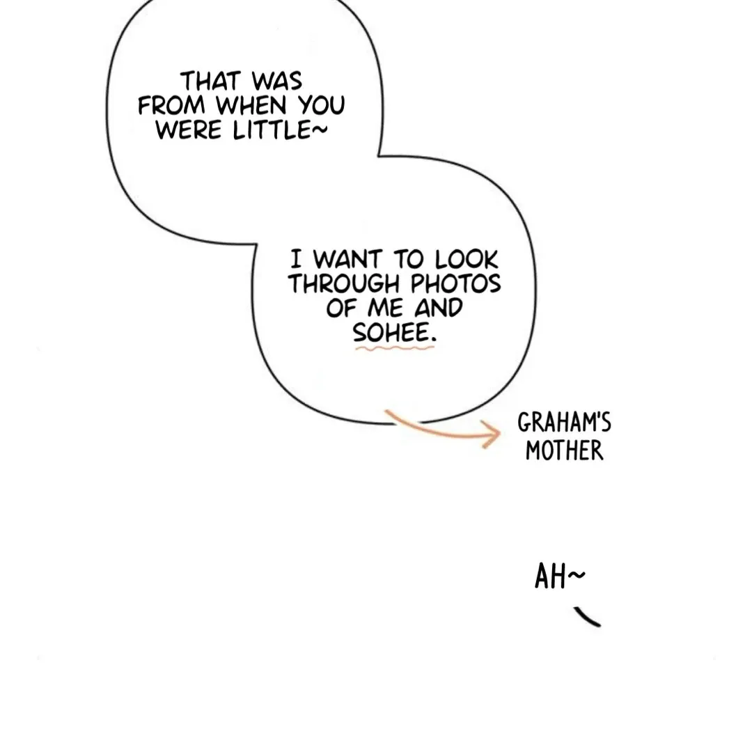 A Love Affair That Crosses the Boundaries of Love Chapter 17 page 46 - 