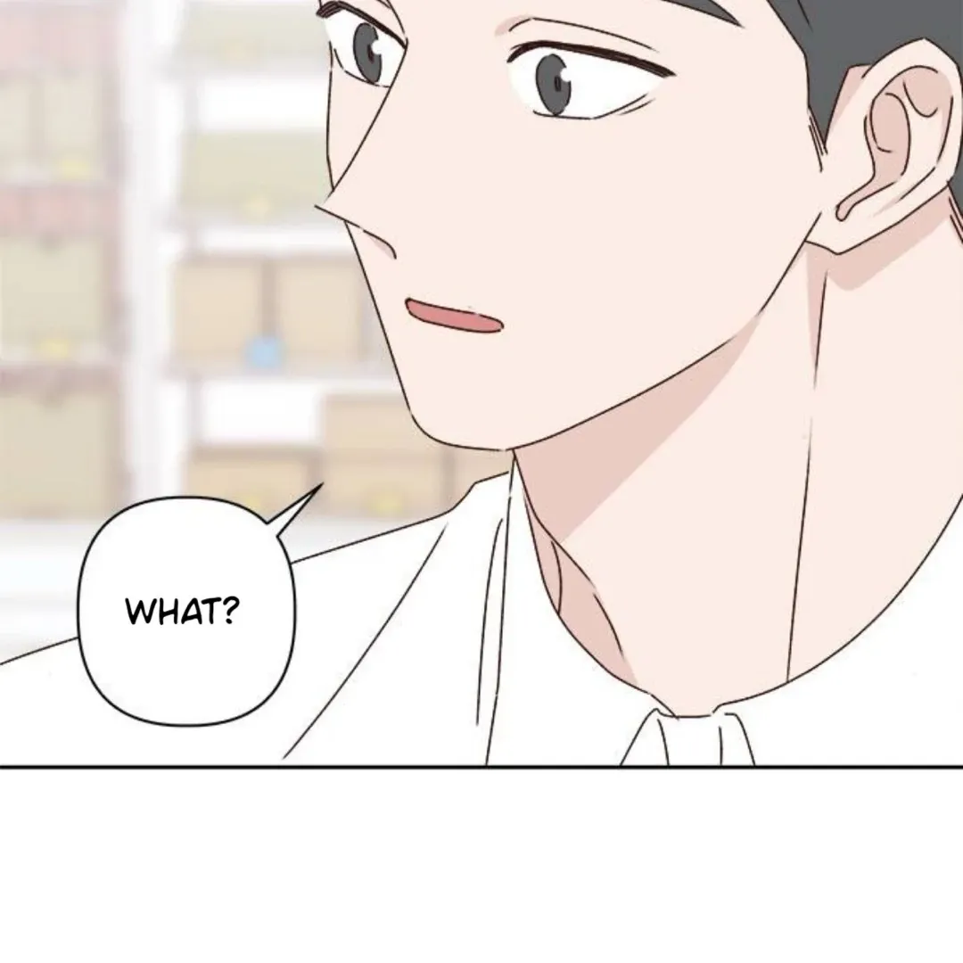 A Love Affair That Crosses the Boundaries of Love Chapter 18 page 99 - 