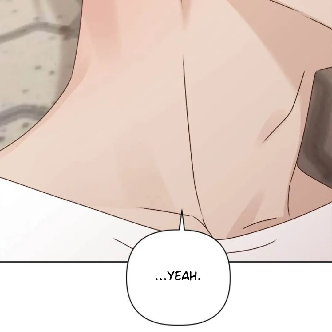 A Love Affair That Crosses the Boundaries of Love Chapter 24 page 231 - 