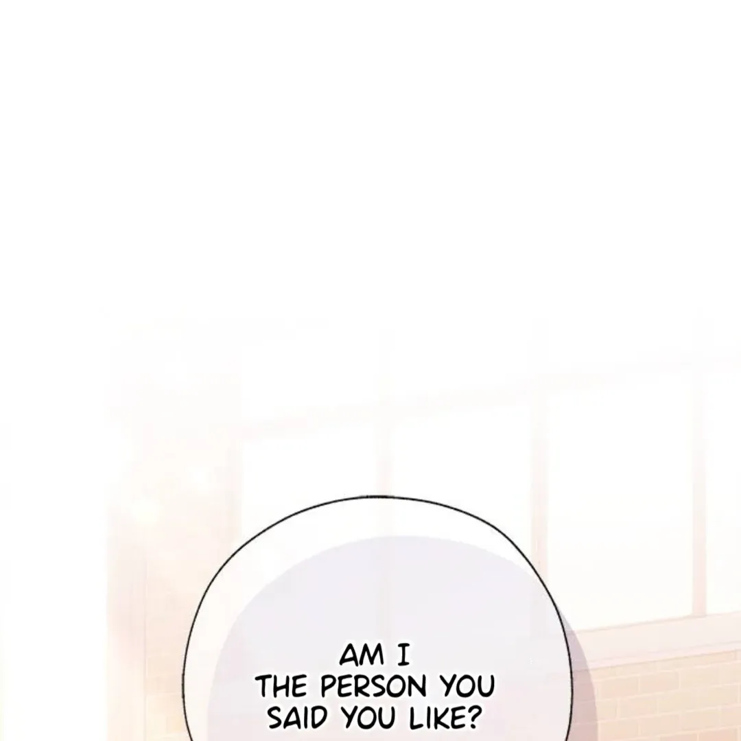 A Love Affair That Crosses the Boundaries of Love Chapter 24 page 247 - 
