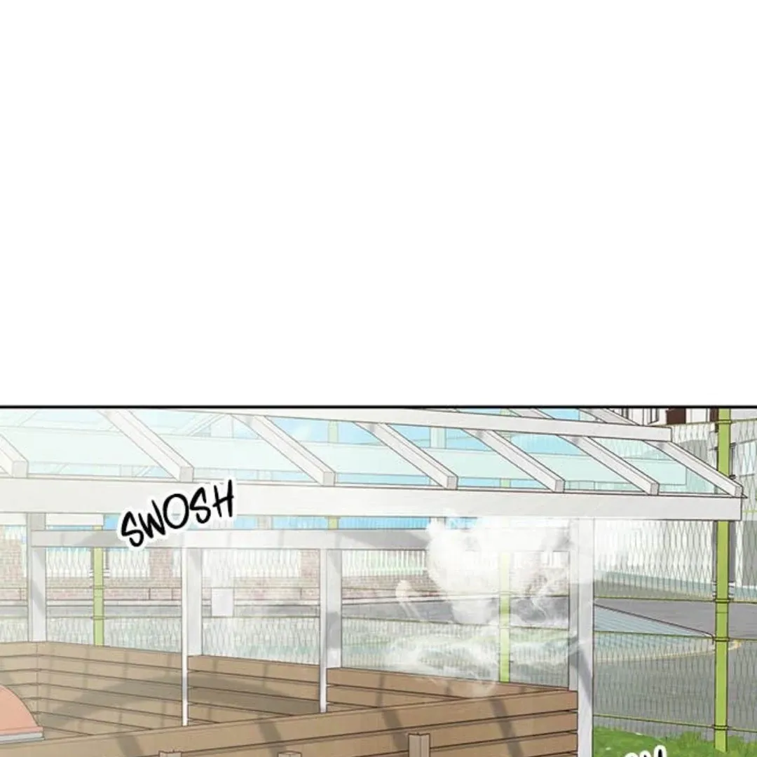 A Love Affair That Crosses the Boundaries of Love Chapter 24 page 84 - 