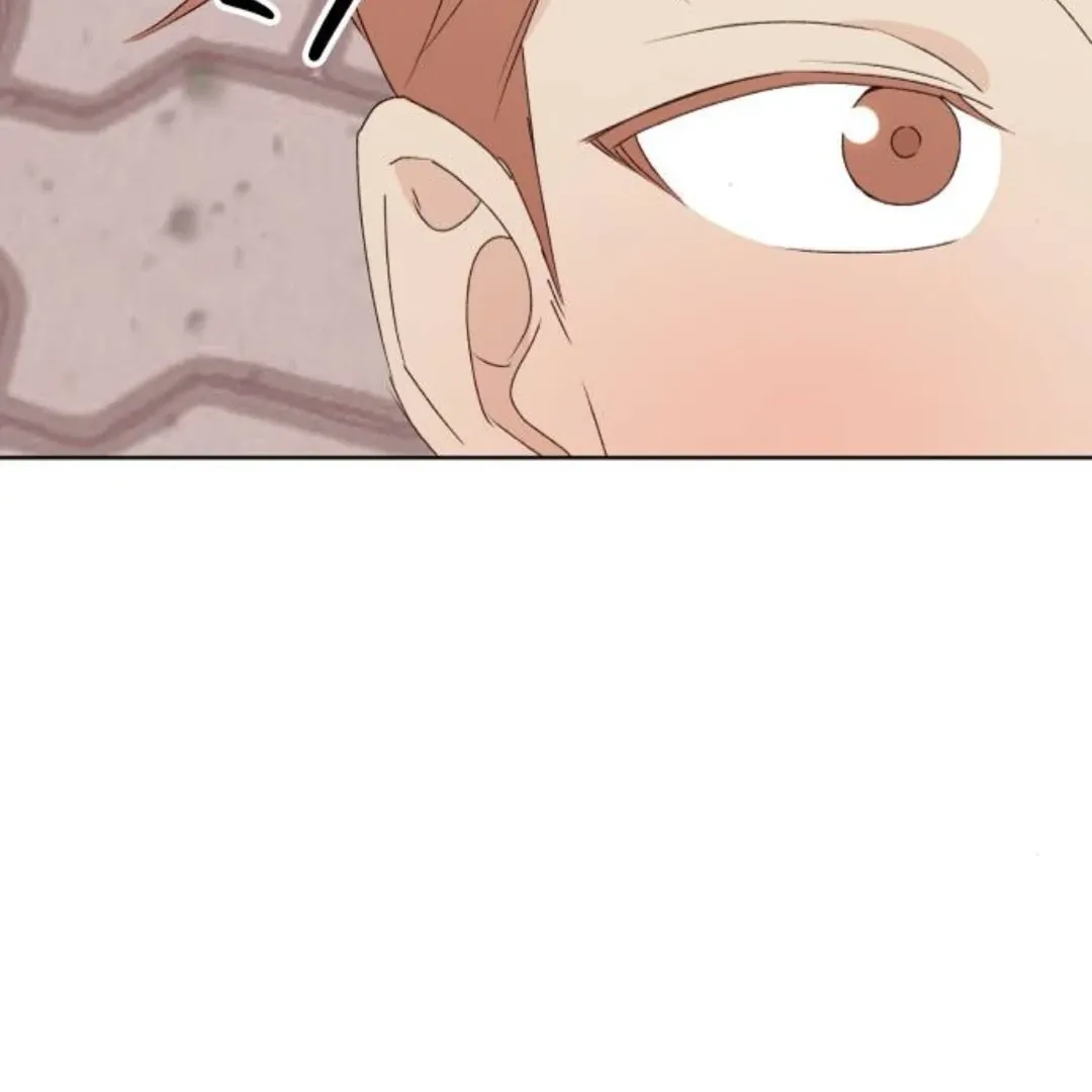 A Love Affair That Crosses the Boundaries of Love Chapter 25 page 13 - 