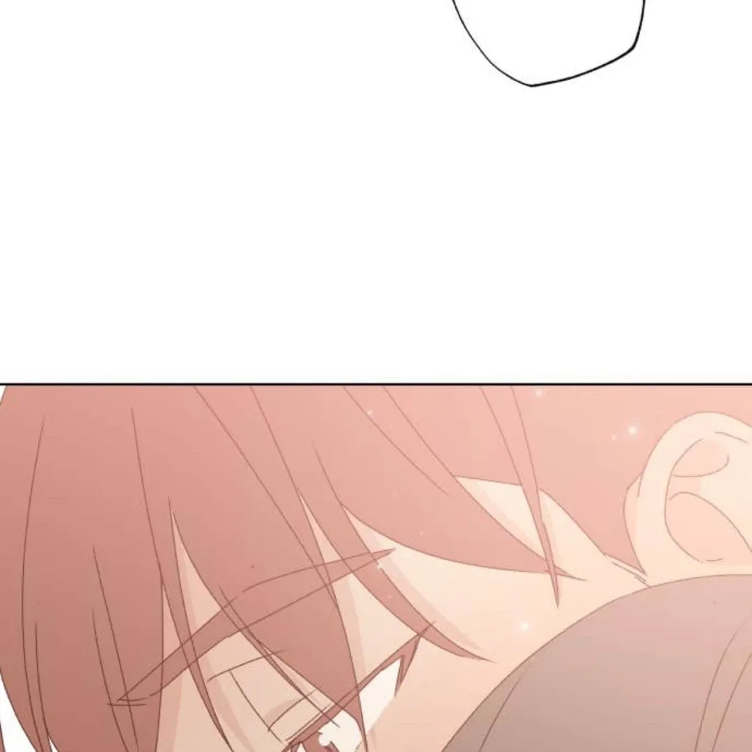 A Love Affair That Crosses the Boundaries of Love Chapter 27 page 152 - 