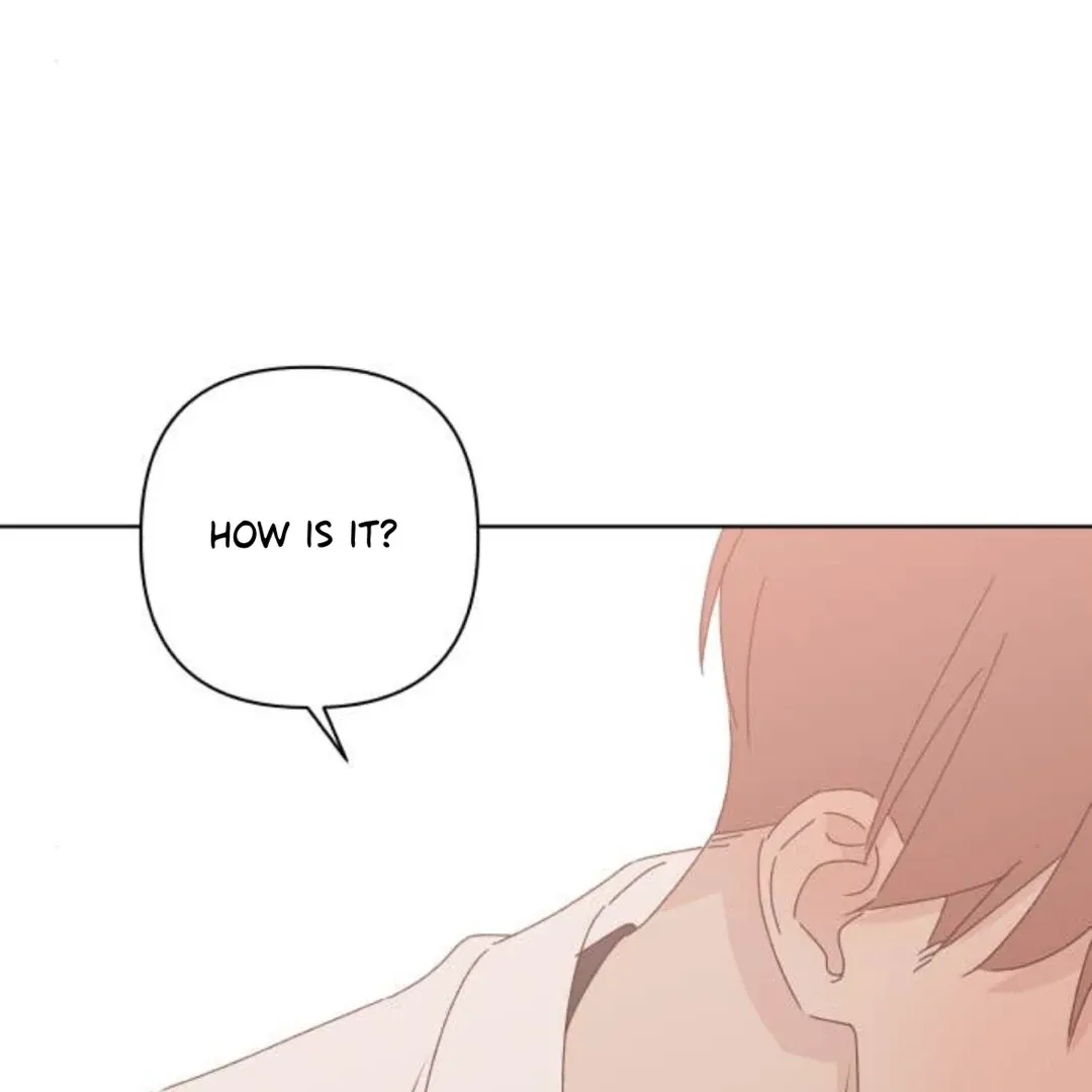 A Love Affair That Crosses the Boundaries of Love Chapter 27 page 161 - 