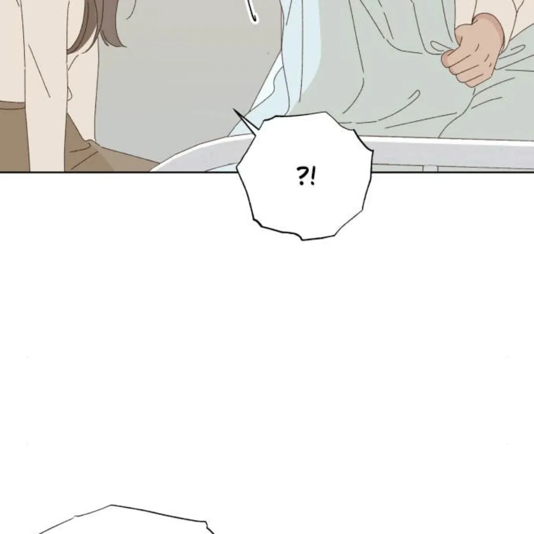 A Love Affair That Crosses the Boundaries of Love Chapter 27 page 79 - 
