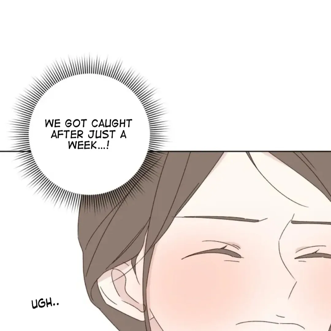 A Love Affair That Crosses the Boundaries of Love Chapter 39 page 97 - 