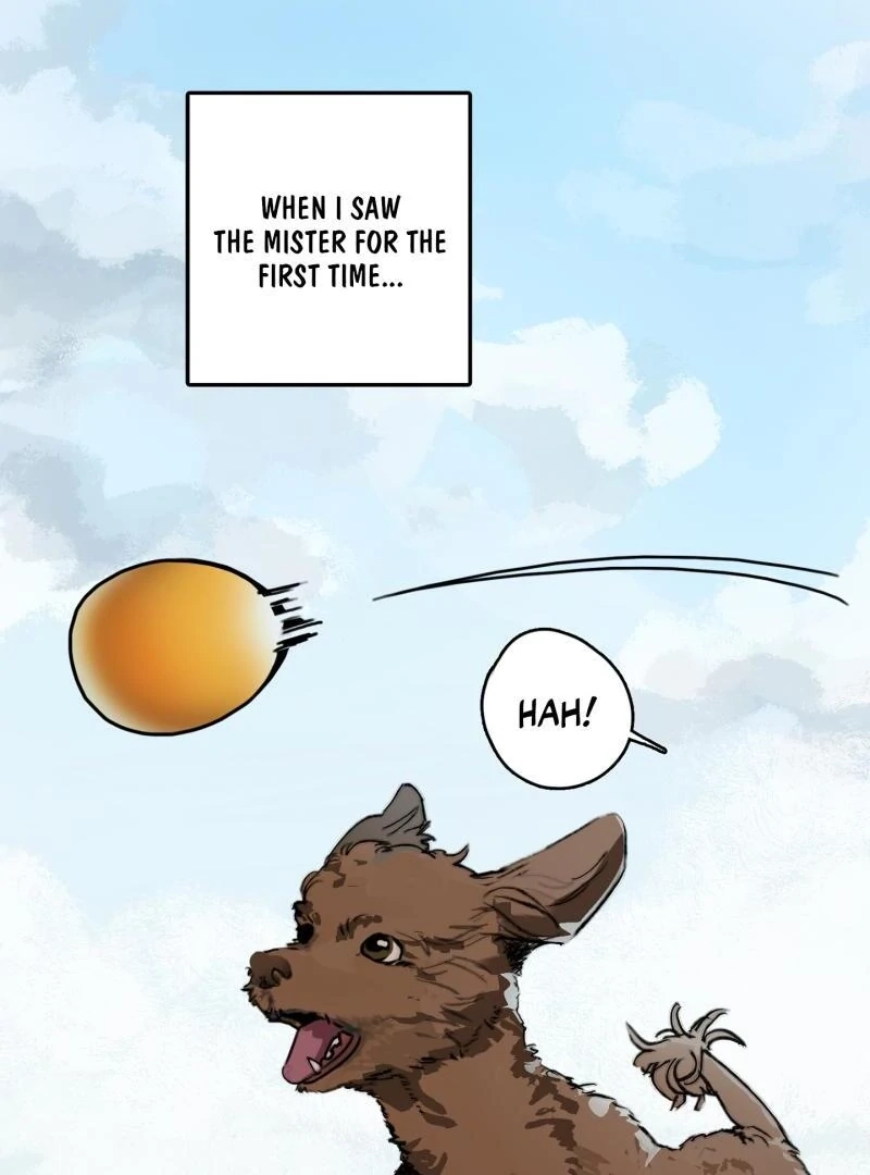 A lucky dream Chapter 1 page 13 - 