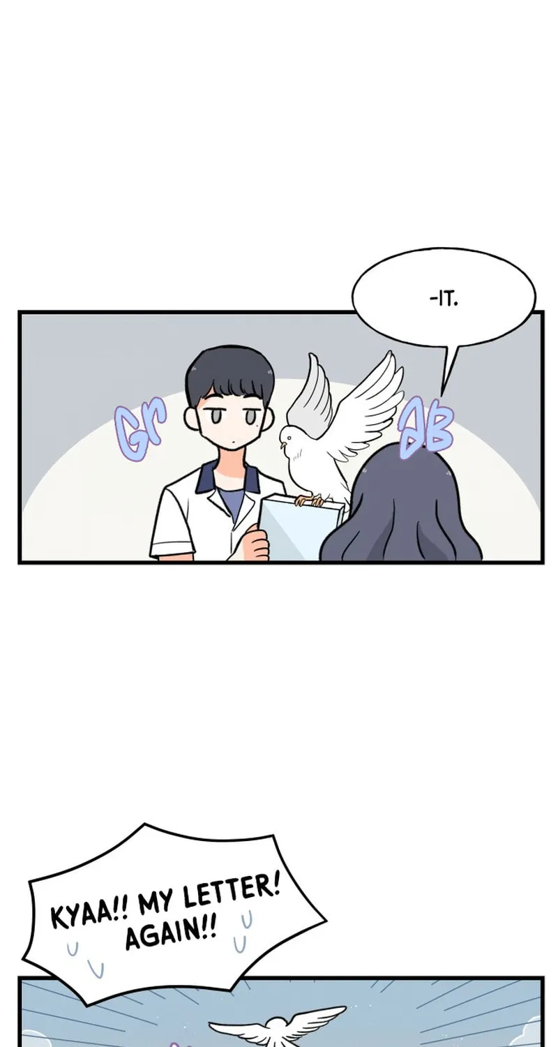A Manhwa That Ends When You Confess Chapter 5 page 42 - 