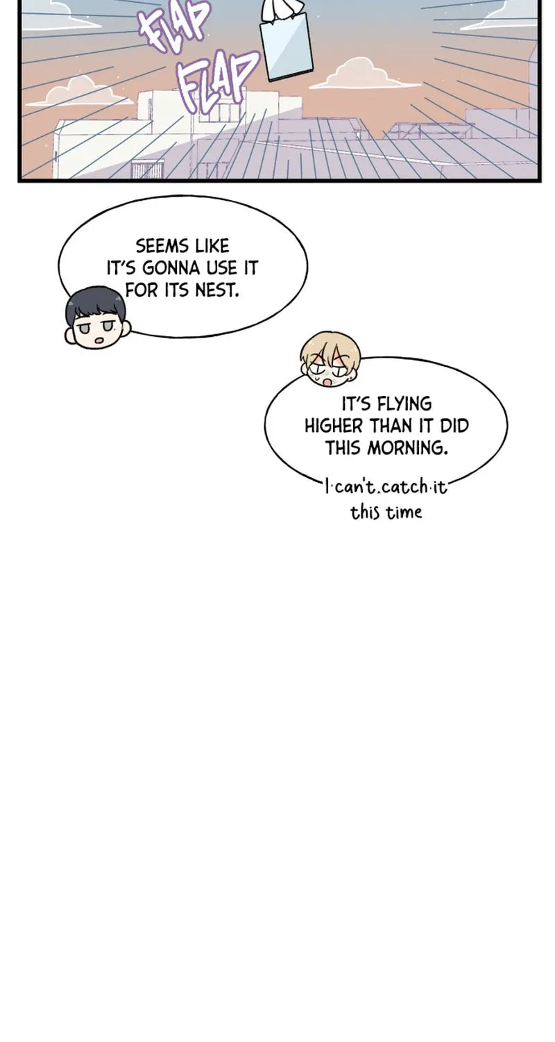 A Manhwa That Ends When You Confess Chapter 5 page 43 - 