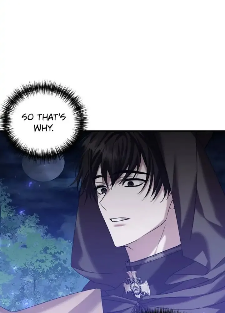 A Marriage Alliance for Revenge Chapter 18 page 47 - 