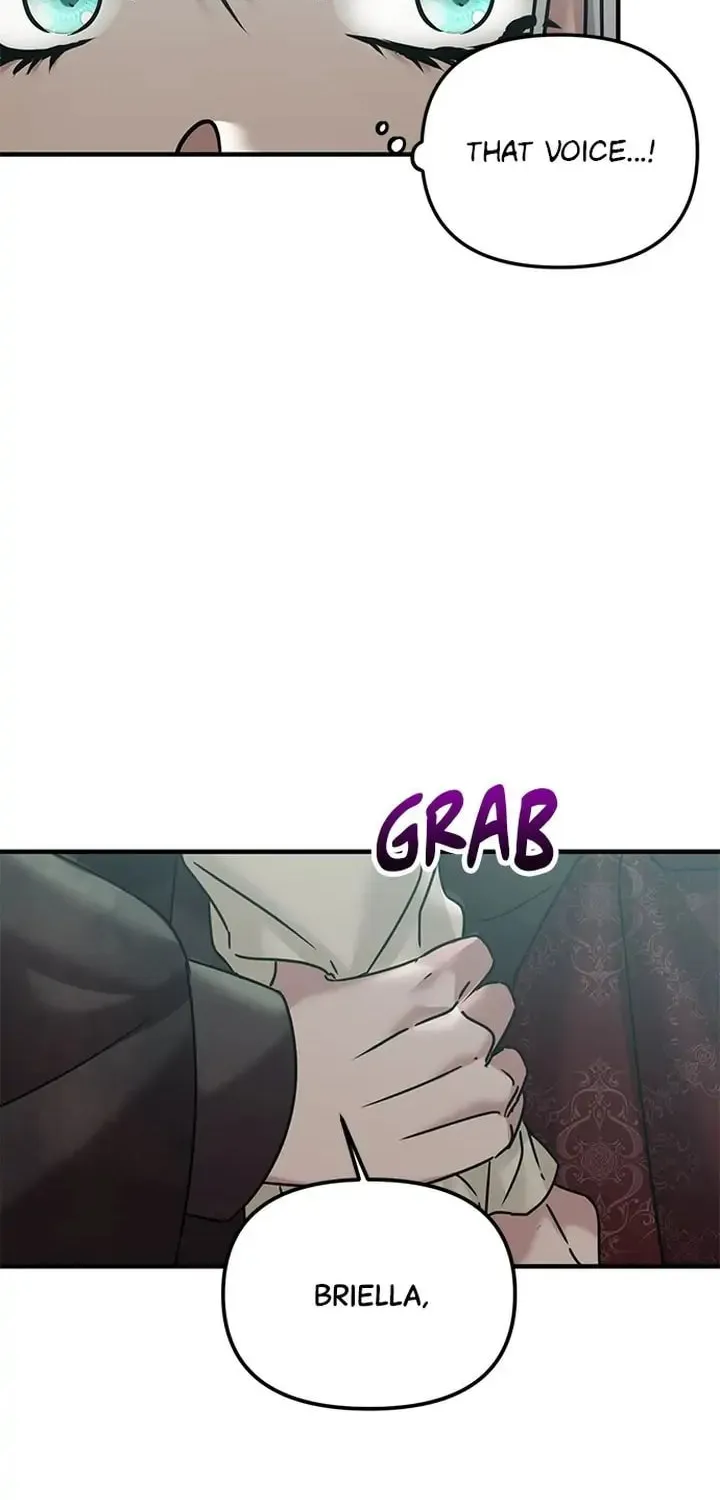 A Marriage Alliance for Revenge Chapter 24 page 97 - 