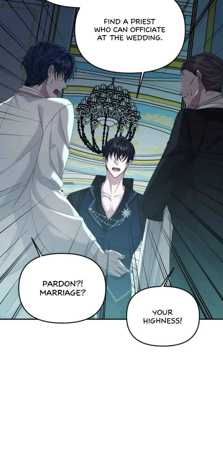 A Marriage Alliance for Revenge Chapter 3 page 96 - 