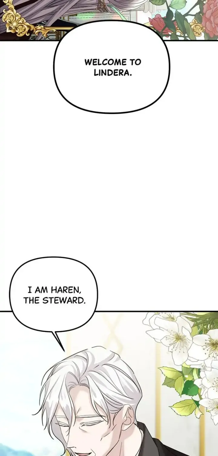 A Marriage Alliance for Revenge Chapter 32 page 19 - 