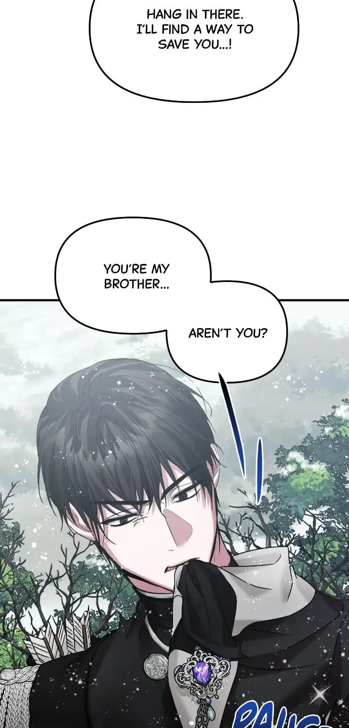 A Marriage Alliance for Revenge Chapter 42 page 48 - 