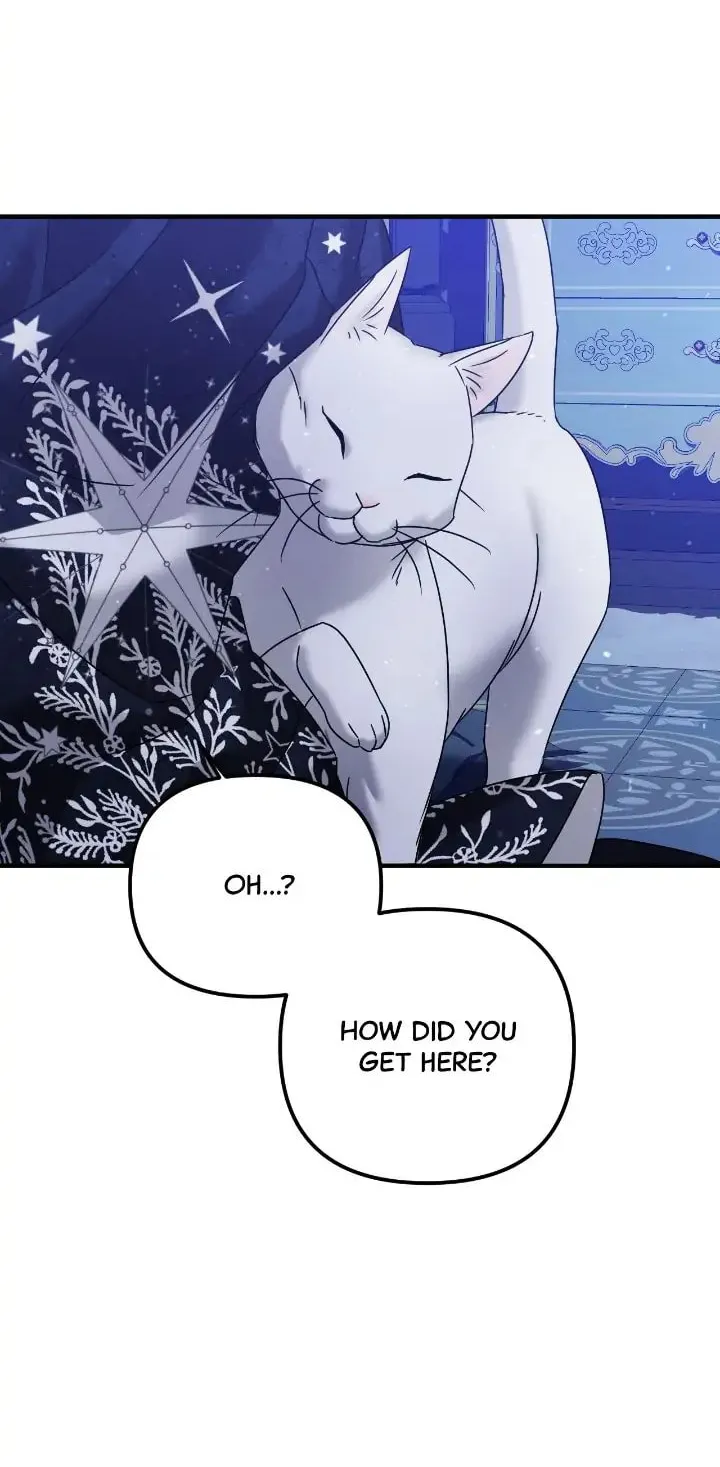 A Marriage Alliance for Revenge Chapter 45 page 73 - 