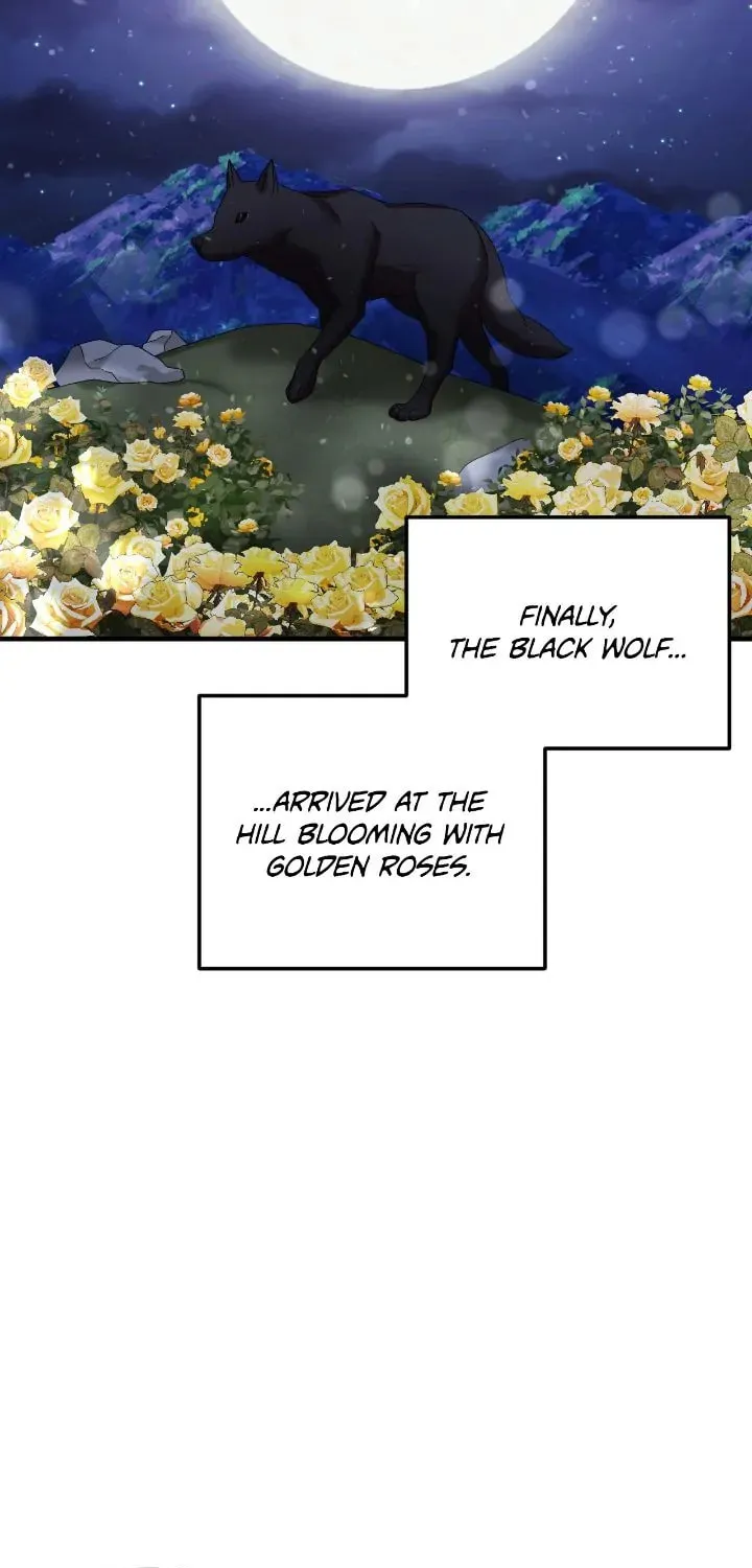 A Marriage Alliance for Revenge Chapter 46 page 46 - 
