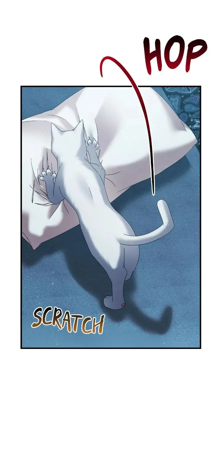 A Marriage Alliance for Revenge Chapter 47 page 47 - 