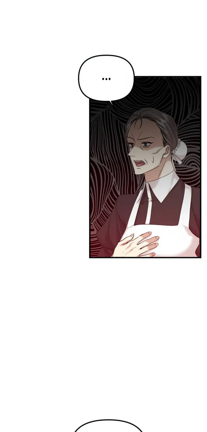 A Marriage Alliance for Revenge Chapter 5 page 19 - 