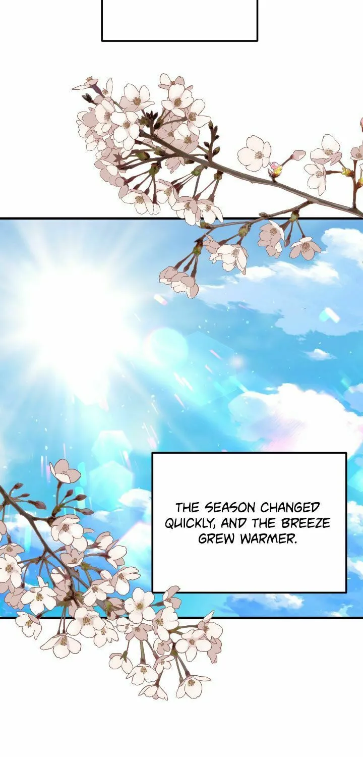A Marriage Alliance for Revenge Chapter 69 page 66 - 