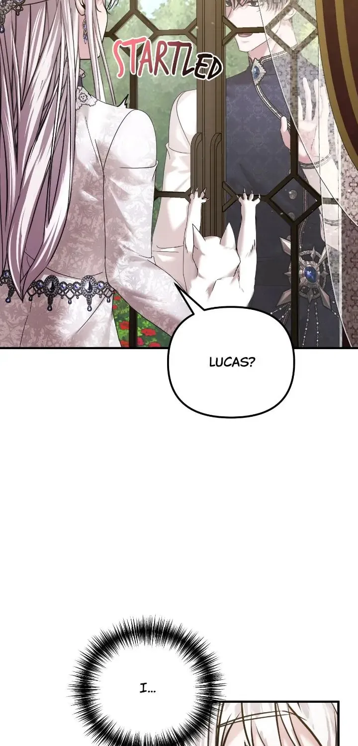 A Marriage Alliance for Revenge Chapter 70 page 21 - 