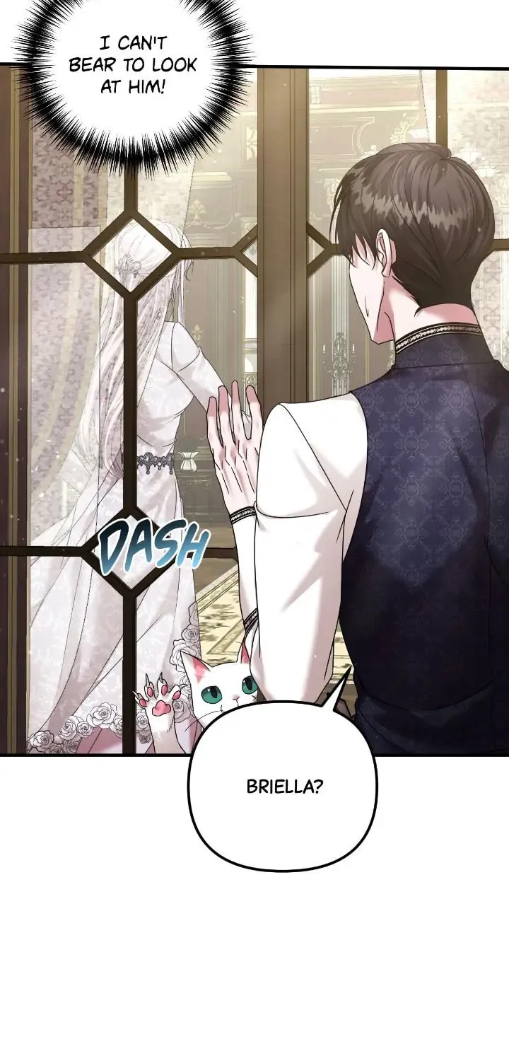 A Marriage Alliance for Revenge Chapter 70 page 24 - 