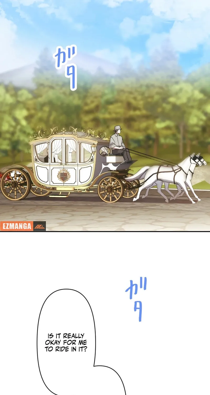 A Marriage of Convenience: The Time-Limited Duchess Won