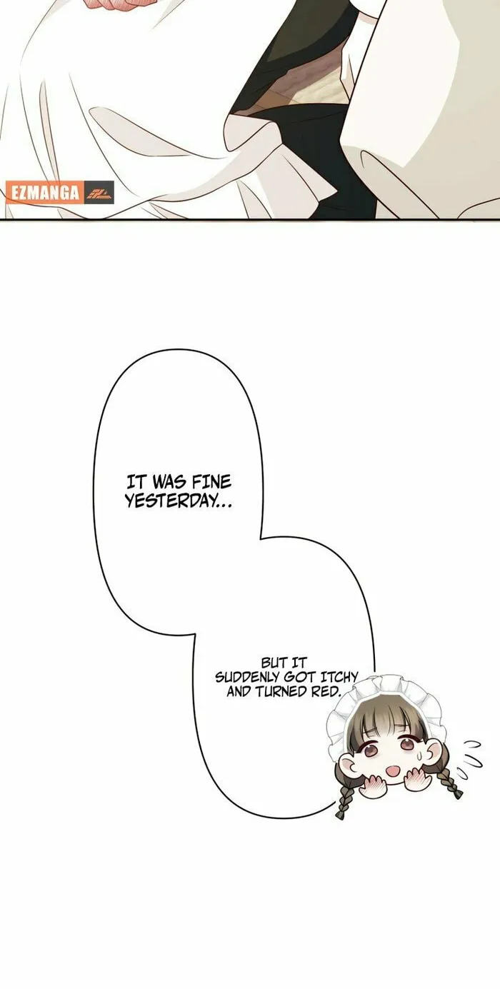 A Marriage of Convenience: The Time-Limited Duchess Won